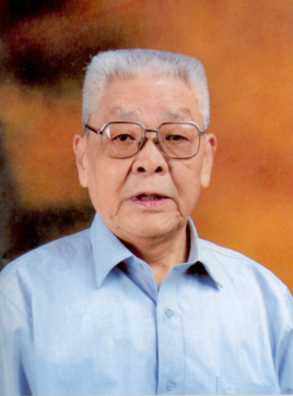 成人动画