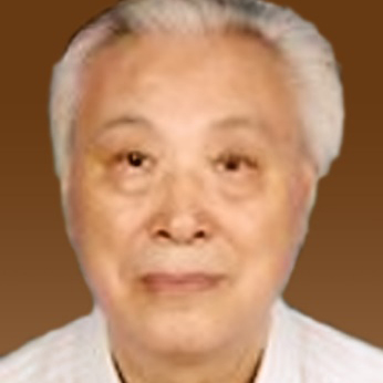 成人动画