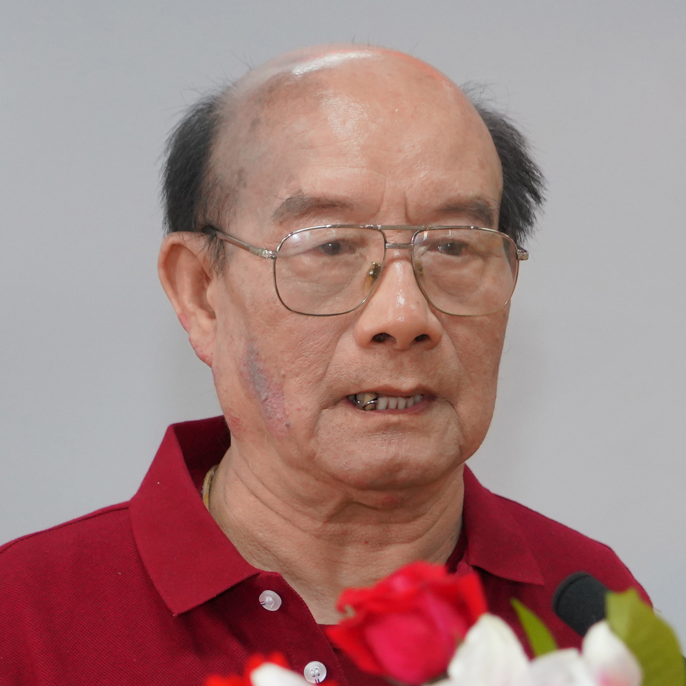 成人动画