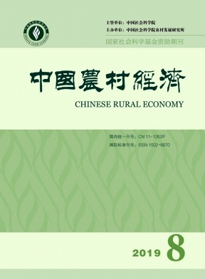 成人动画