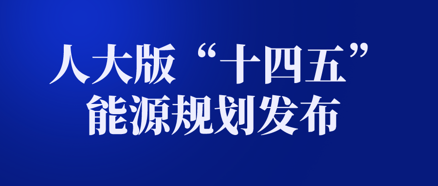 成人动画