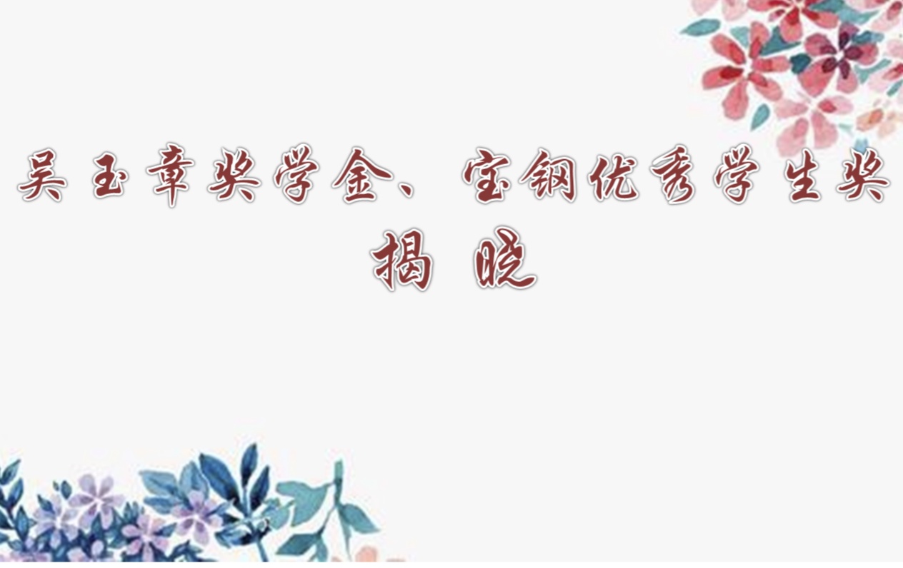 成人动画