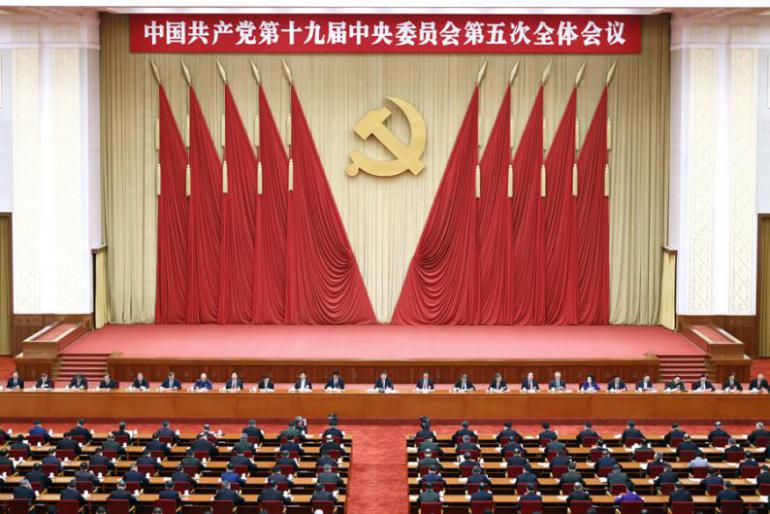 成人动画