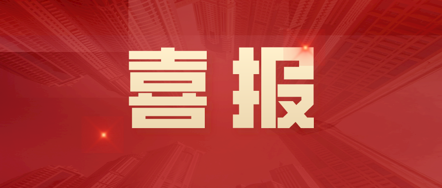 成人动画