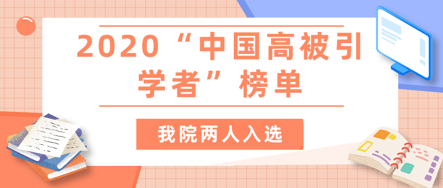 成人动画