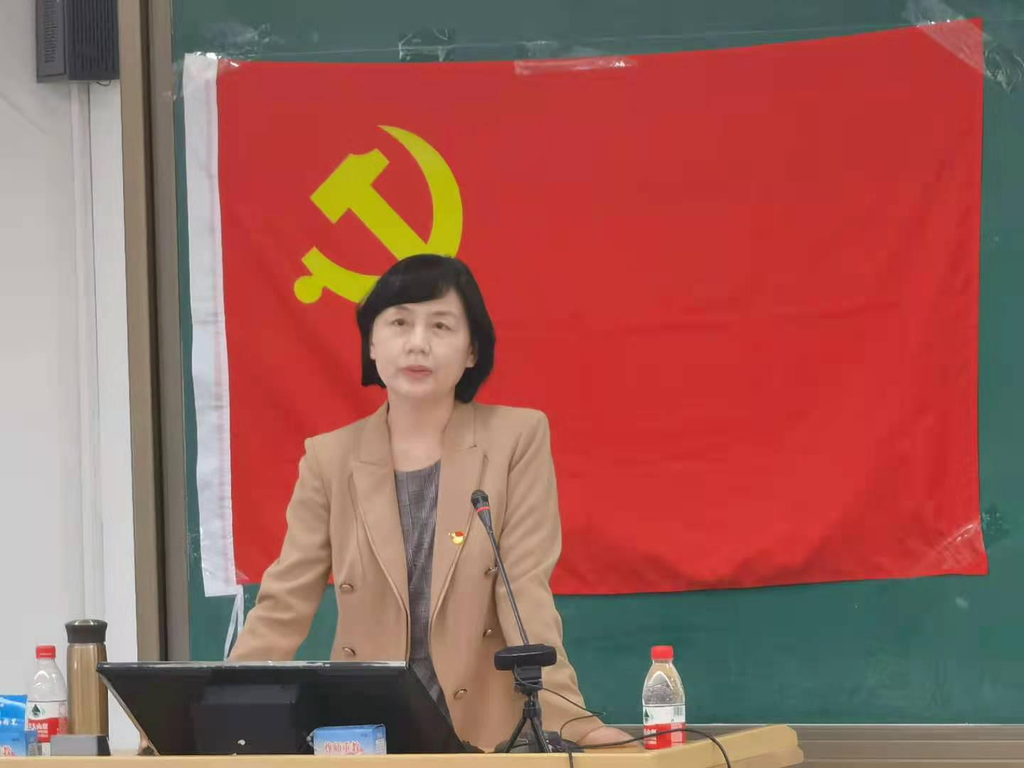 成人动画