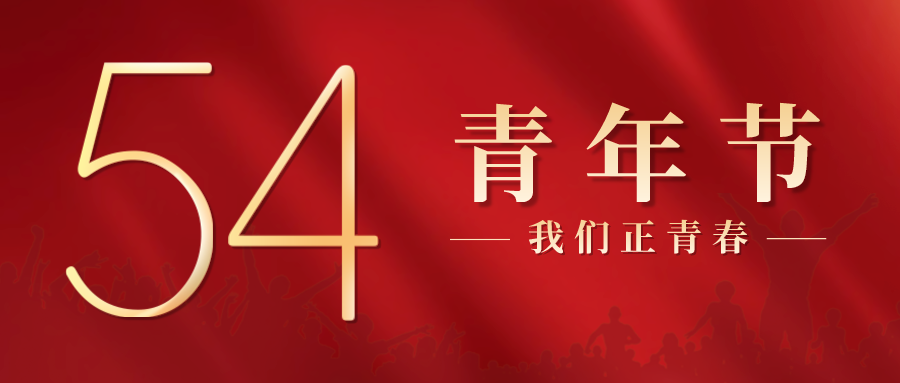 成人动画