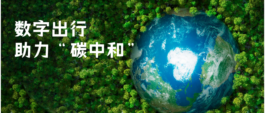 成人动画