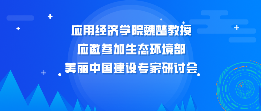 成人动画
