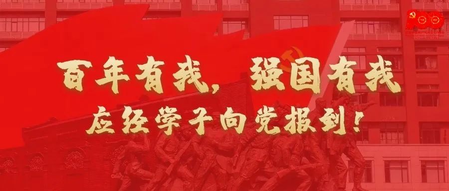 成人动画