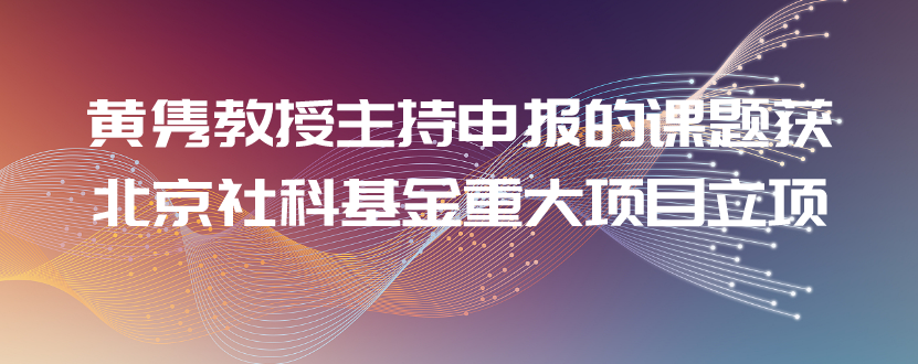 成人动画