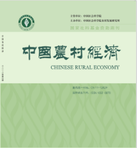 成人动画