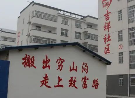 成人动画