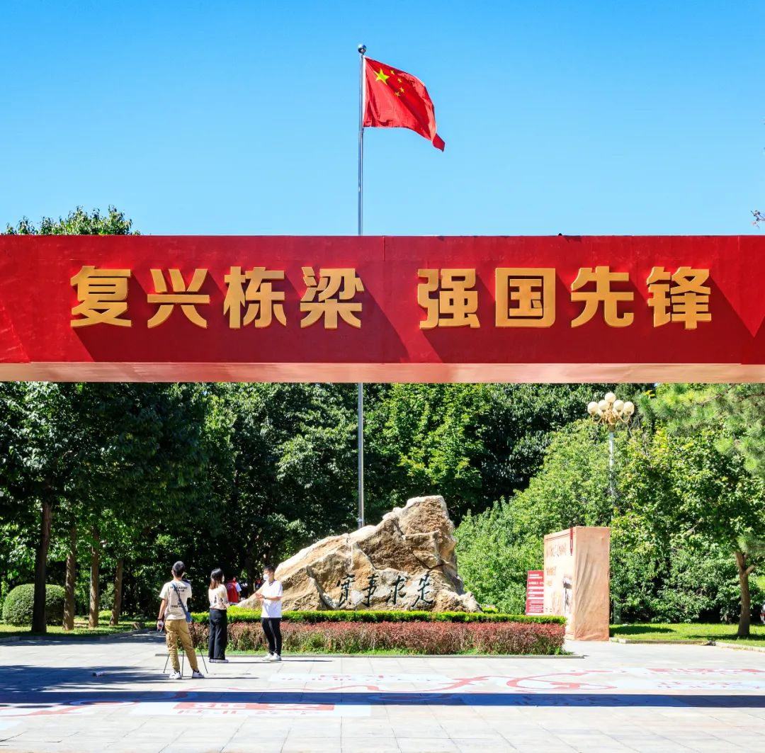 成人动画