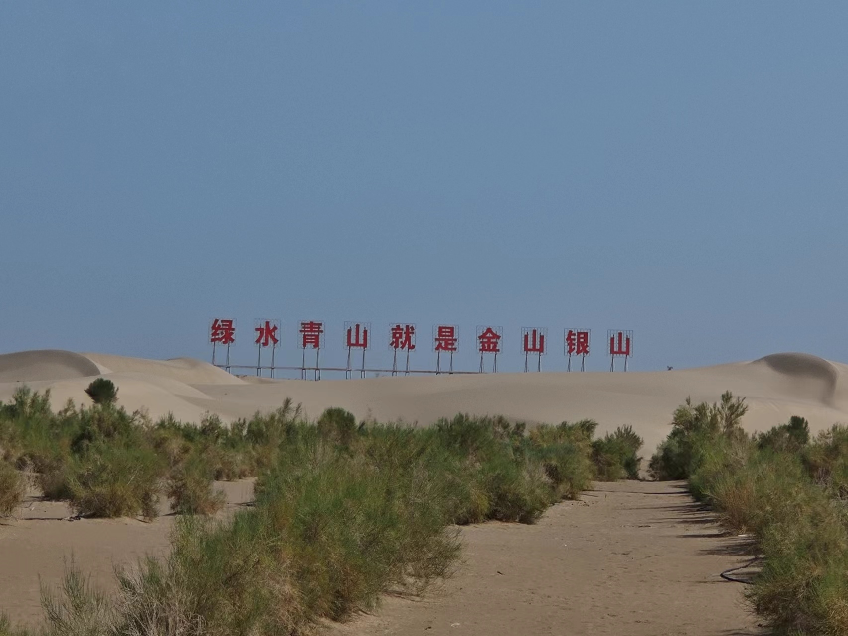 成人动画