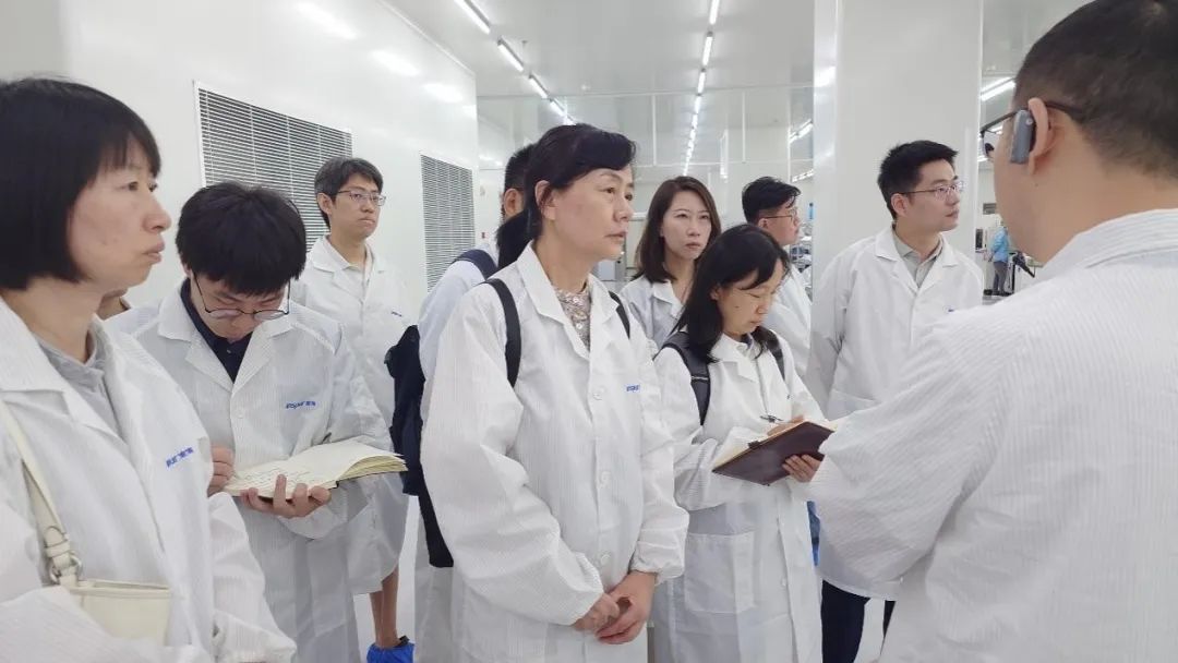 成人动画