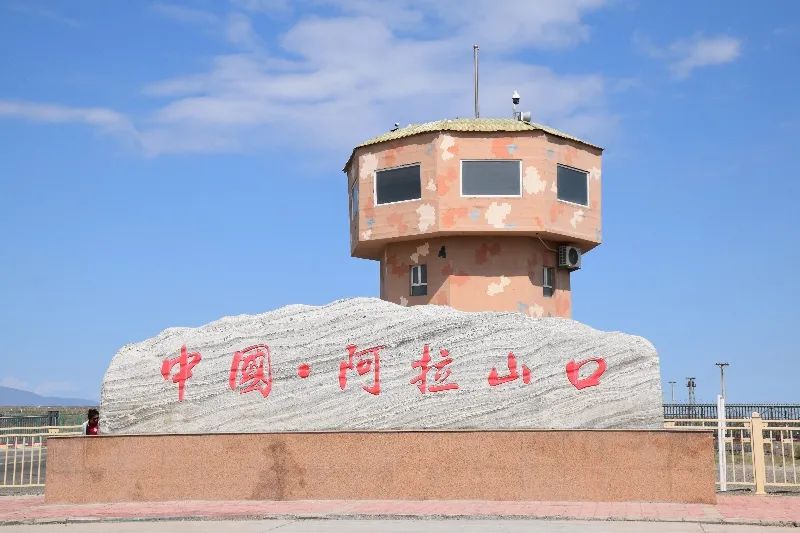 成人动画