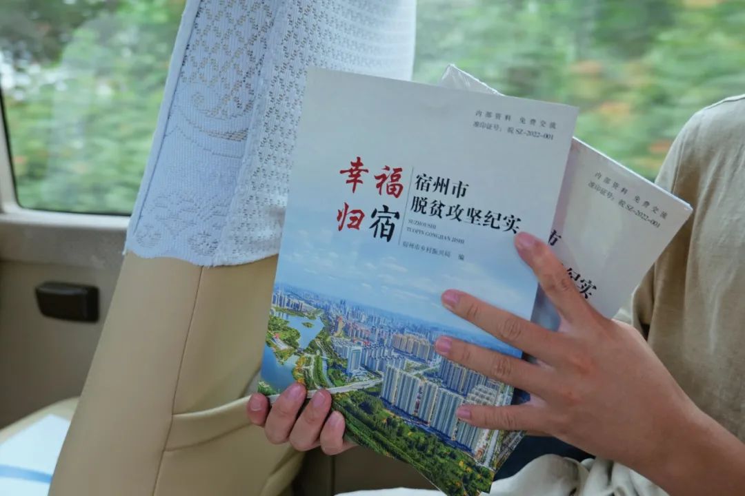 成人动画