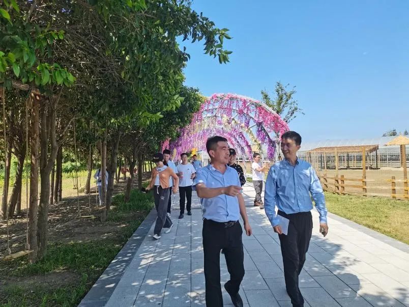 成人动画