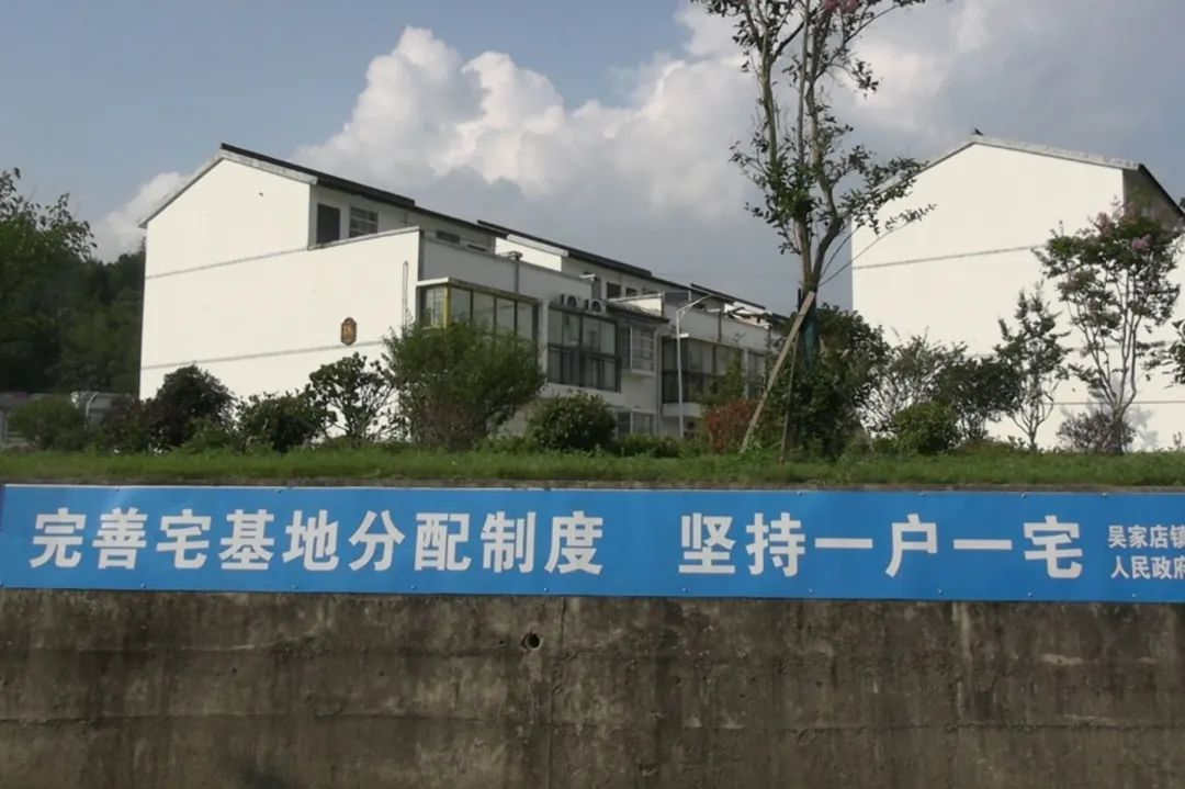 成人动画