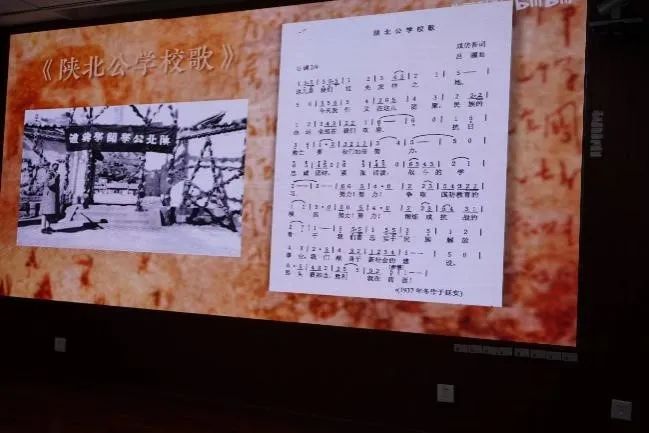 成人动画