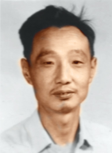 成人动画