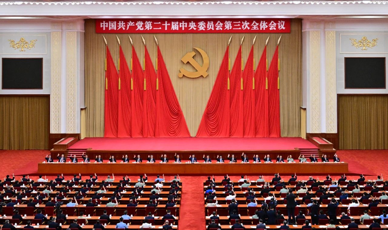 成人动画