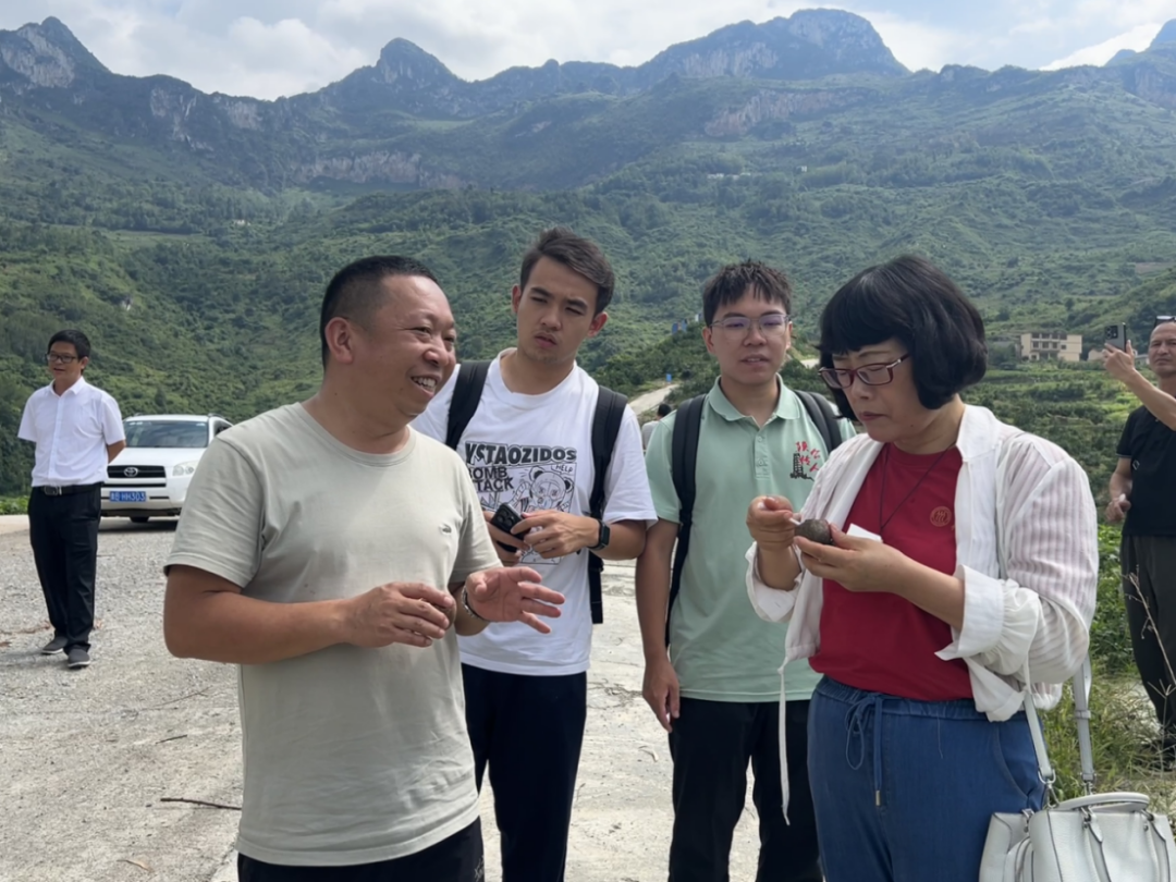 成人动画