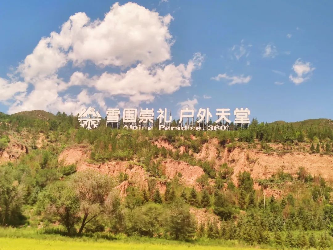 成人动画