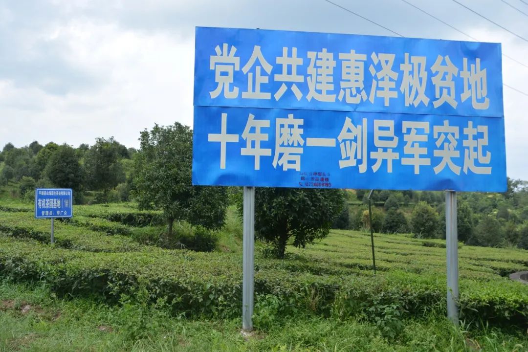 成人动画