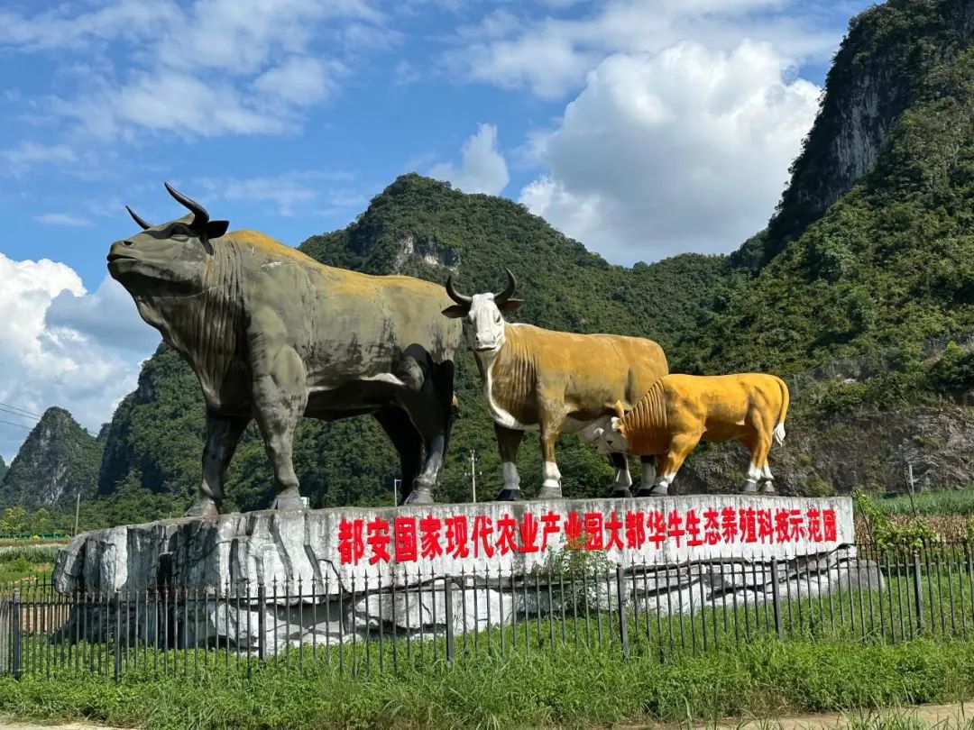 成人动画
