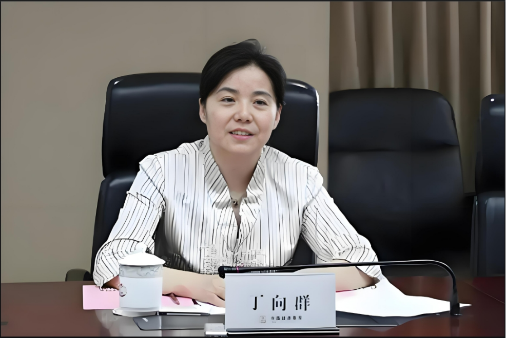 成人动画