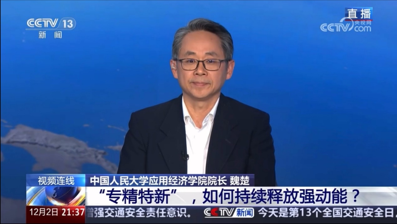 成人动画