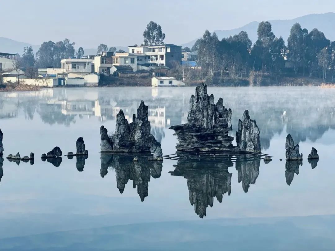成人动画