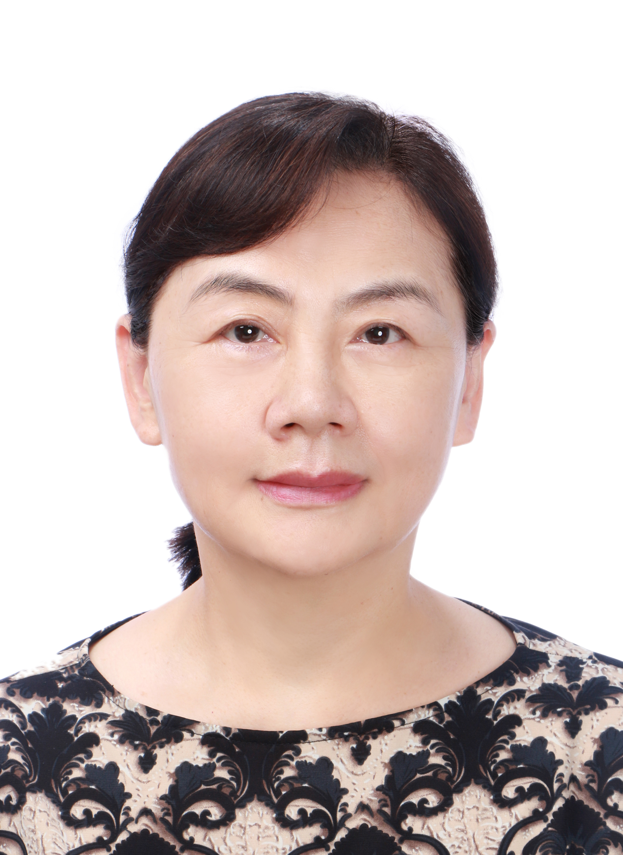 成人动画
