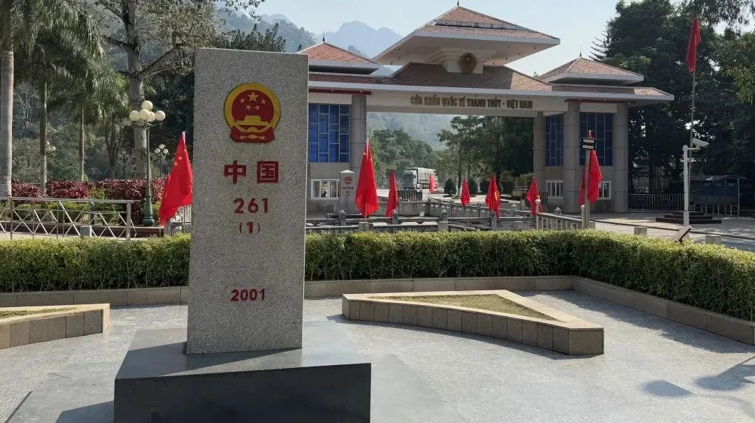 成人动画