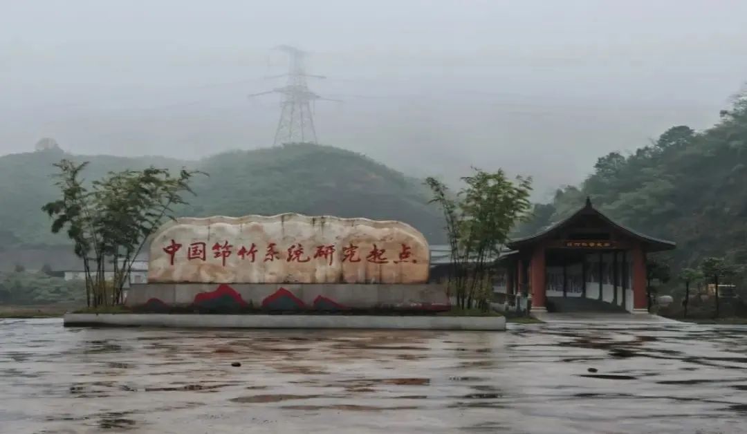 成人动画