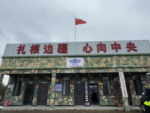 成人动画