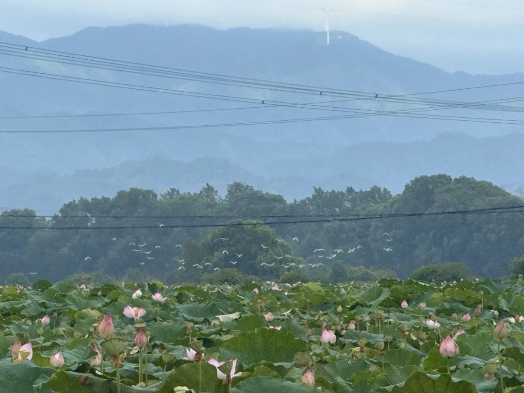 成人动画
